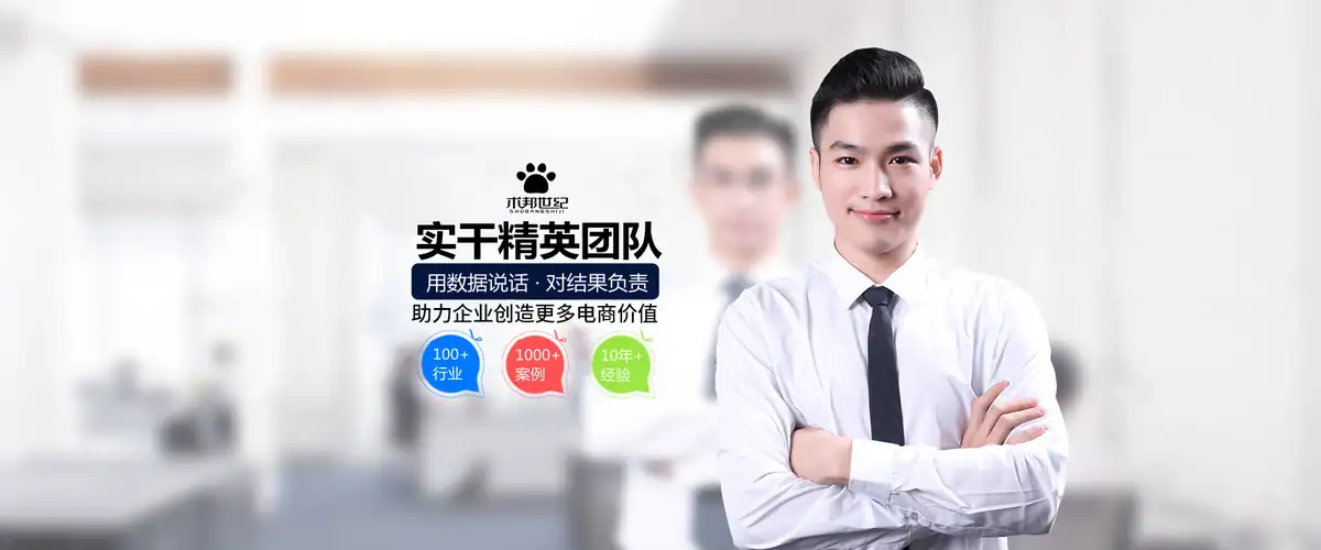 术邦世纪 实干精英团队 京东代运营 用数据说话 对结果负责